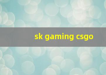 sk gaming csgo